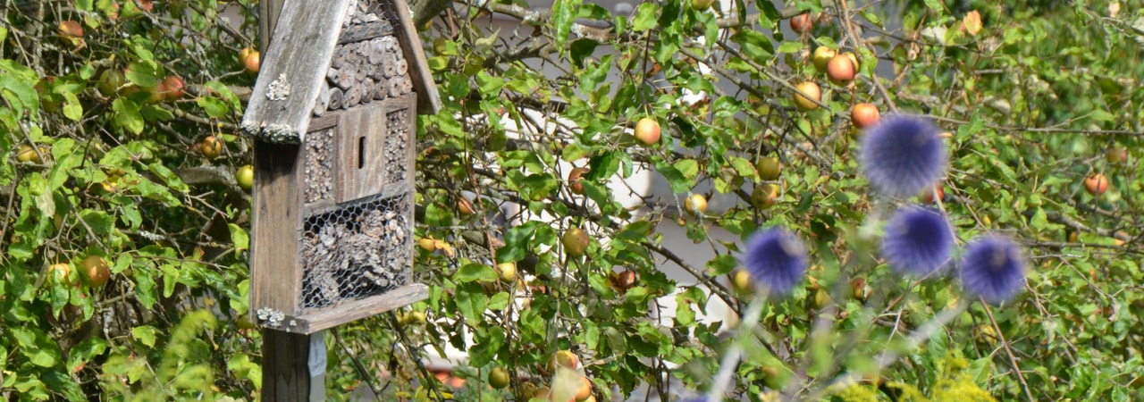 Naturschutz Insektenhotel