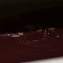 Rotwein