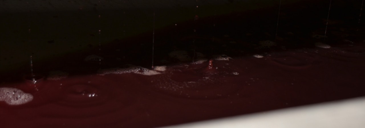 Rotwein