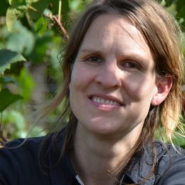 Annina bei der Rotweinlese