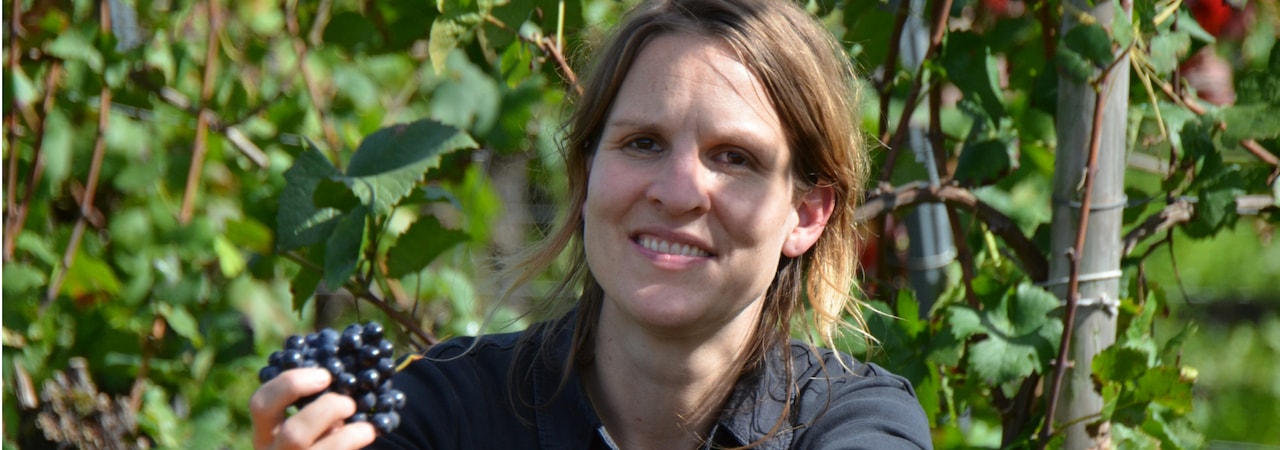 Annina bei der Rotweinlese