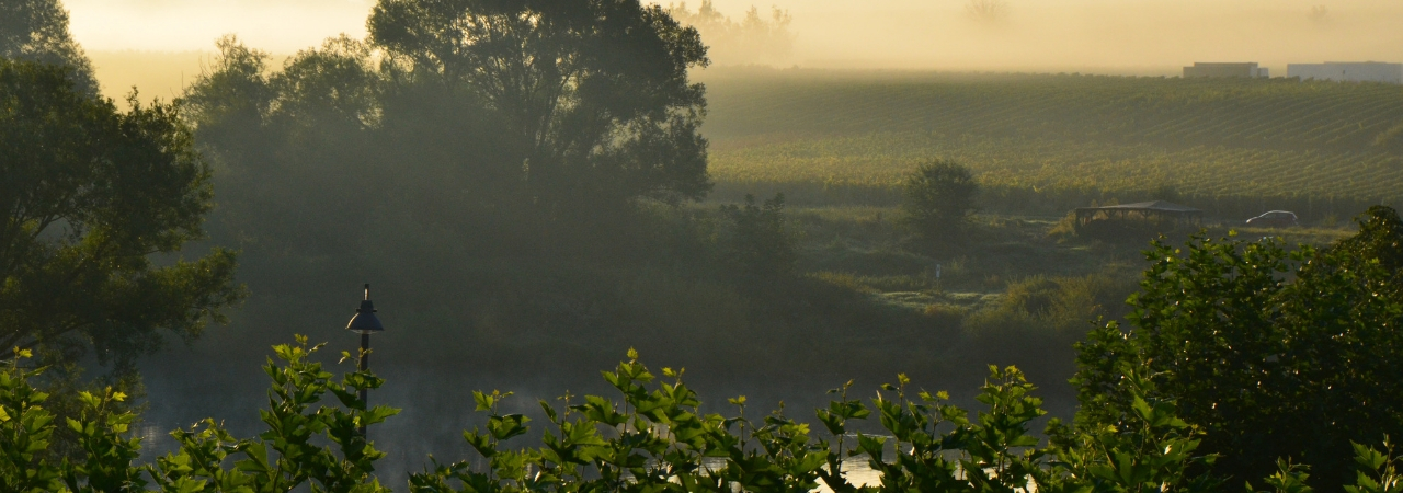 BLick aus Fenster zur Mosel