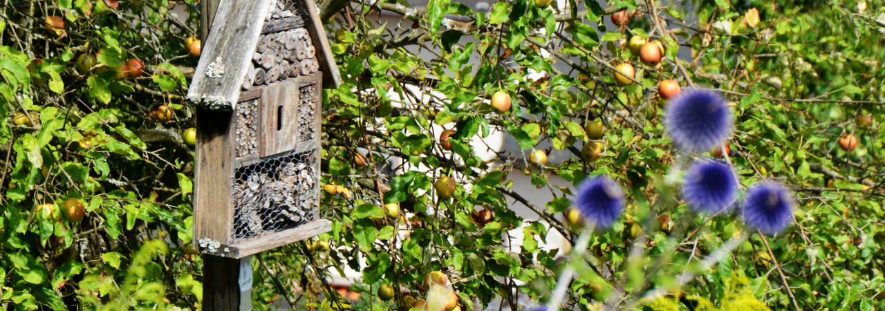Naturschutz Bienenhotel