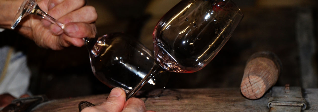 Rotwein Probe