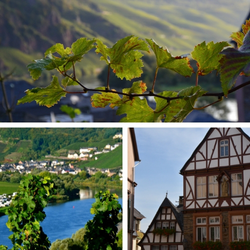 Ürzig/ Mosel