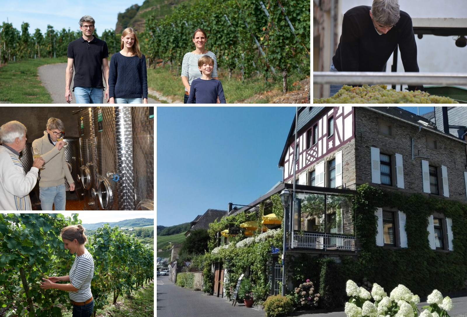 Wir vom Weingut Erbes-Henn in Ürzig Mosel