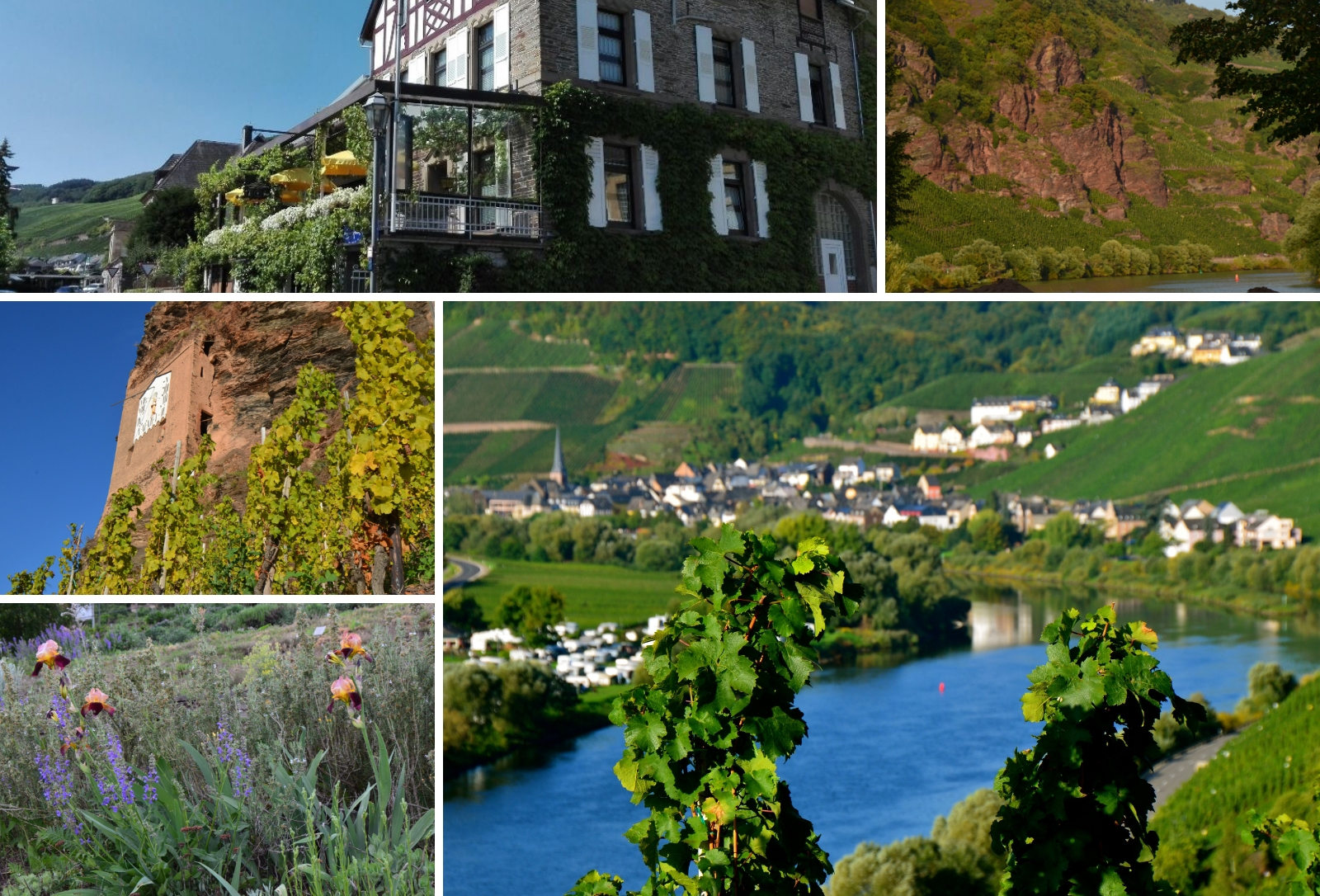 Impressionen von Ürzig an der Mosel
