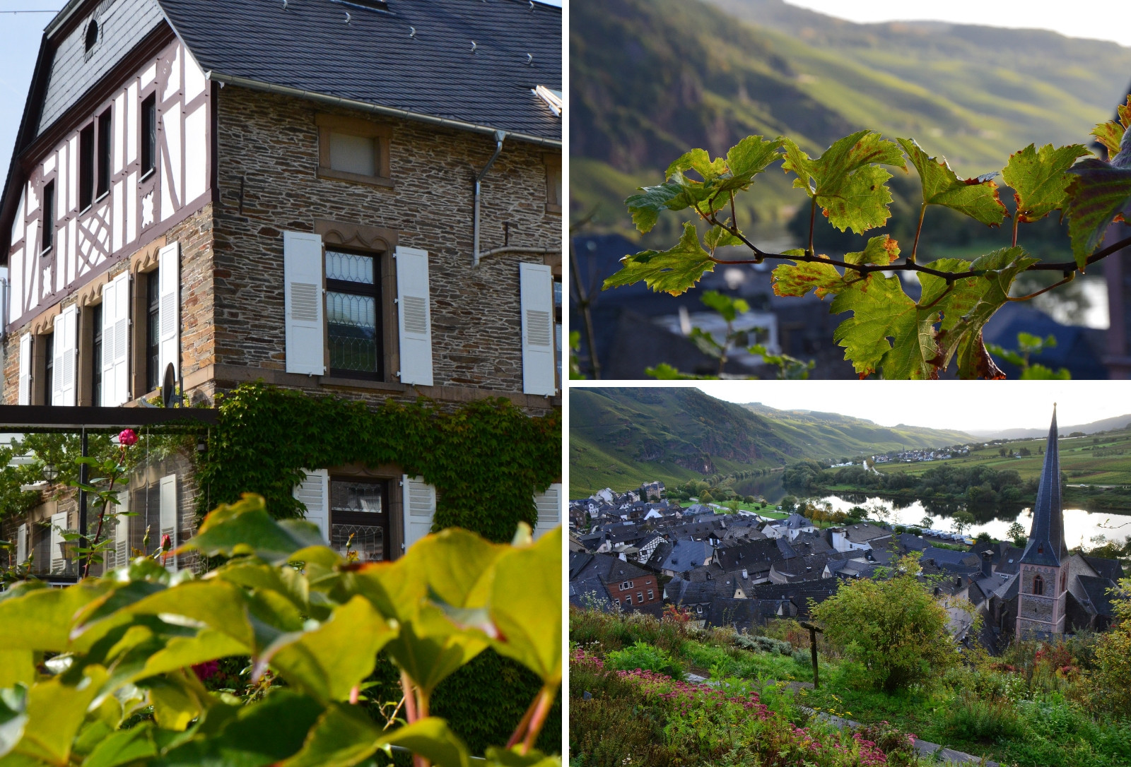Weingut Erbes-Henn in Ürzig Mosel