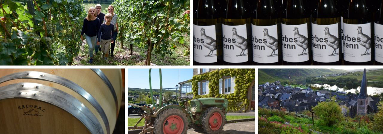 Weingut Erbes Henn Ürzig Mosel