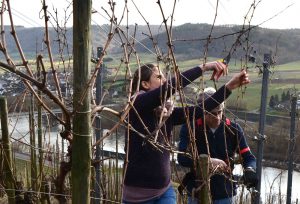 Annina und Peter Rebschnitt Weingut Ürzig