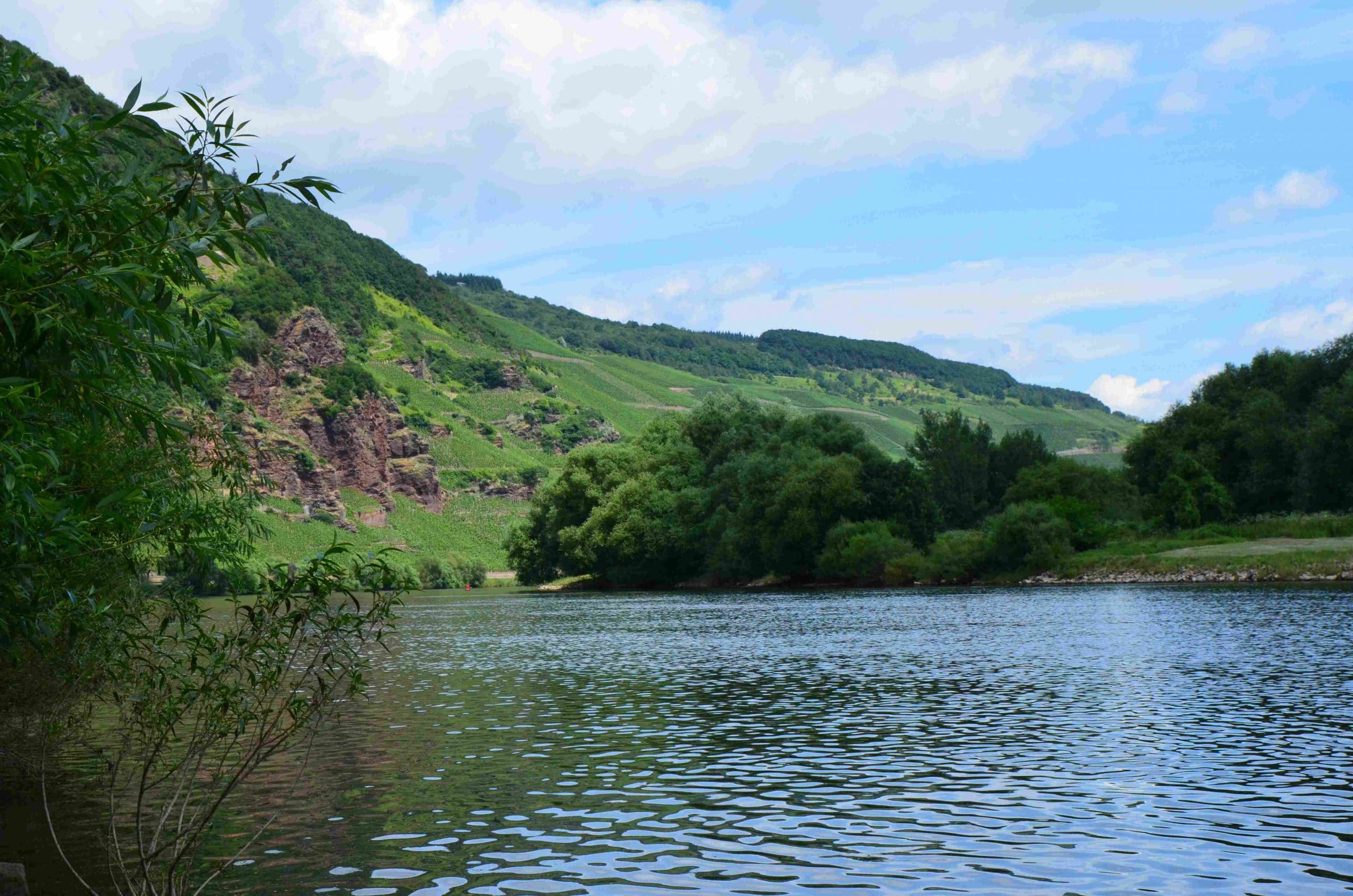 Blick in Felsen über Mosel