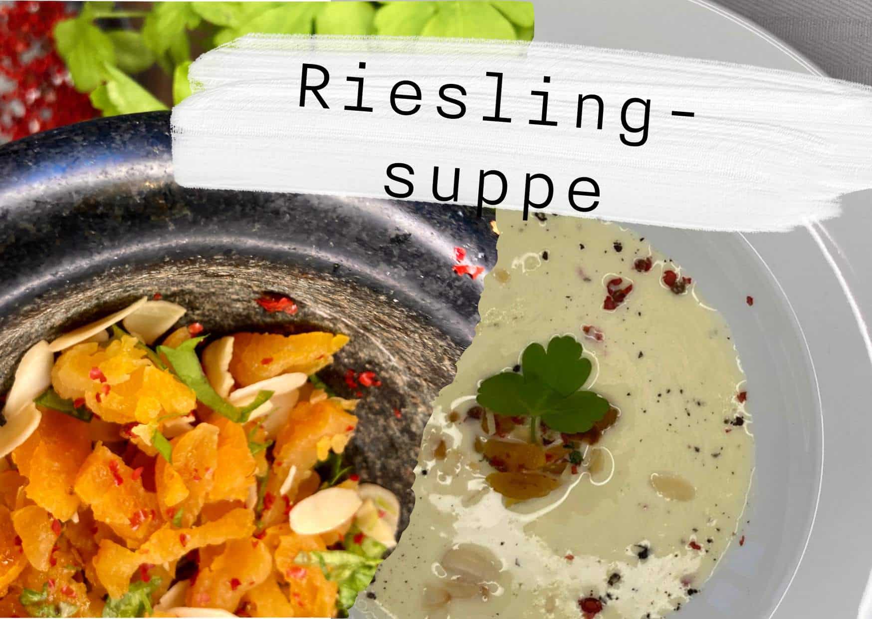 Mehr über den Artikel erfahren Rieslingsuppe mit Käse