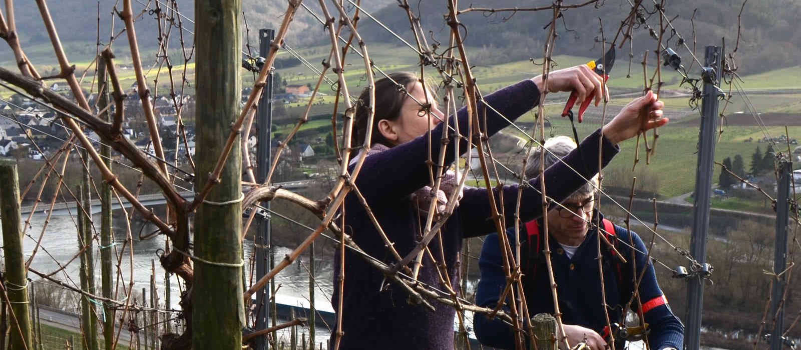 Annina und Peter Rebschnitt Weingut Ürzig